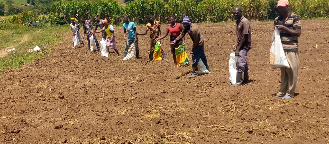 Organic Farming business in Kenya