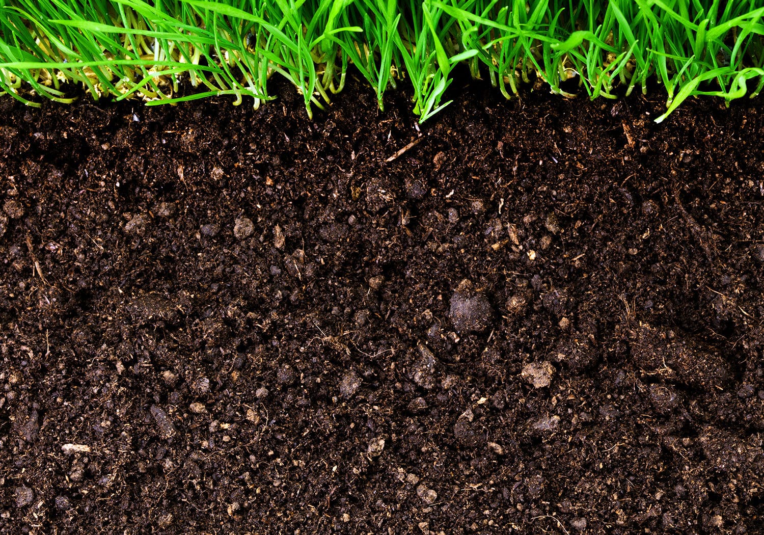 Importance of soil organic carbon to agriculture